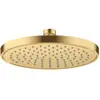 AXOR ShowerSolutions Douche de tête, 1 jet, 35383250,