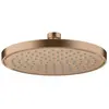 AXOR ShowerSolutions Douche de tête, 1 jet, 35383310,