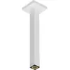hansgrohe Universal Bras de douche, 24339700,