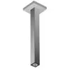 hansgrohe Universal Bras de douche, 24339000,