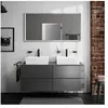 hansgrohe Xarita E Miroir, 54984700,