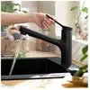 Hansgrohe Zesis M33 Mitigeur d'évier avec douchette extractible, noir ...