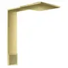 AXOR ShowerComposition Set de douche de tête, 2 jets, 12594950,