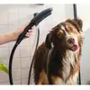 Hansgrohe DogShower Douchette pour chien avec 3 jets Select, 26640670