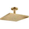 hansgrohe Raindance E Set de douche de tête, 1 jet, 26251140,