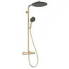 Hansgrohe 24594990 Showerpipe Raindance Alive S Puro