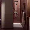Hansgrohe 24594700 Showerpipe Raindance Alive S Puro