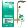 Hansgrohe - Raindance Alive q système de douche 210/340 1jet