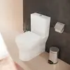 hansgrohe EluPura Original S Cuvette au sol avec AquaFall Flush, 60346...