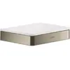 hansgrohe Axor étagère universelle 150 mm, nickel brossé