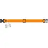 Alpha Industries Basic Dog-Tag Collar Alpha Orange