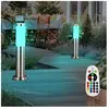 Lot de 2 éclairages d'extérieur en acier inoxydable sur pied, lampes t...