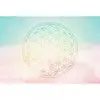 A.S. CREATIONS Architects Paper FLOWER OF LIFE