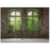 A.S. CREATIONS Architects Paper OLD WINDOW