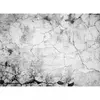 A.S. CREATIONS Architects Paper CEMENT CRACK