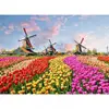 Architects Paper ZAANSE SCHANS