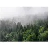 Architects Paper FOGGY FIR TREES