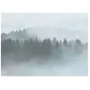 Architects Paper MISTY FOREST