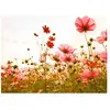 A.S. CREATIONS Architects Paper FLOWER MEADOW