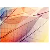 Architects Paper LIMPID LEAF