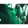 Architects Paper LEAF STALKS