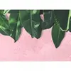 Architects Paper LEAVES WALL