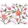 Architects Paper LITTLE BIRDS