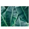 Architects Paper BANANA LEAVES