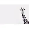 Architects Paper GIRAFFE POTRAIT