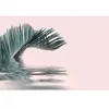 Architects Paper PALM LEAF WATER