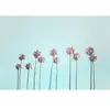 Architects Paper TROPICAL TREES