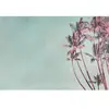 A.S. CREATIONS Architects Paper TROPICAL BREEZE