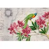 Architects Paper BIRD DISCOVERY