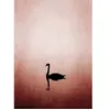 Architects Paper SWAN LAKE