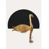 Architects Paper THE SWAN