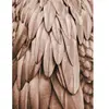 Architects Paper FEATHERS