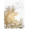 A.S. CREATIONS Architects Paper GOLDEN SKIES