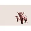 Architects Paper HIGHLAND COWS