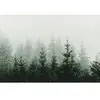 Architects Paper MOUNTAIN FOREST