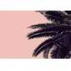 A.S. CREATIONS Architects Paper PALM TREE