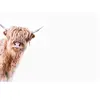 A.S. CREATIONS Architects Paper HIGHLAND CATTLE 2