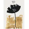 Architects Paper BLACK POPPY