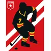 Architects Paper ICEHOCKEY