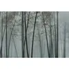 Architects Paper IN THE BAMBOO