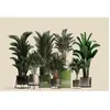 Architects Paper PLANT SHOP