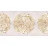 Architects Paper VENUS