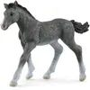 Schleich 13944 Poulain Trakehnen (Horse Club) Gris