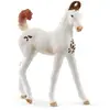 Schleich Horse Club Poulain Marwari