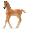 Figurine Poulain Arabe / Horse club Schleich-13984