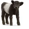 Figurine Veau Galloway / Farm World Schleich-13969